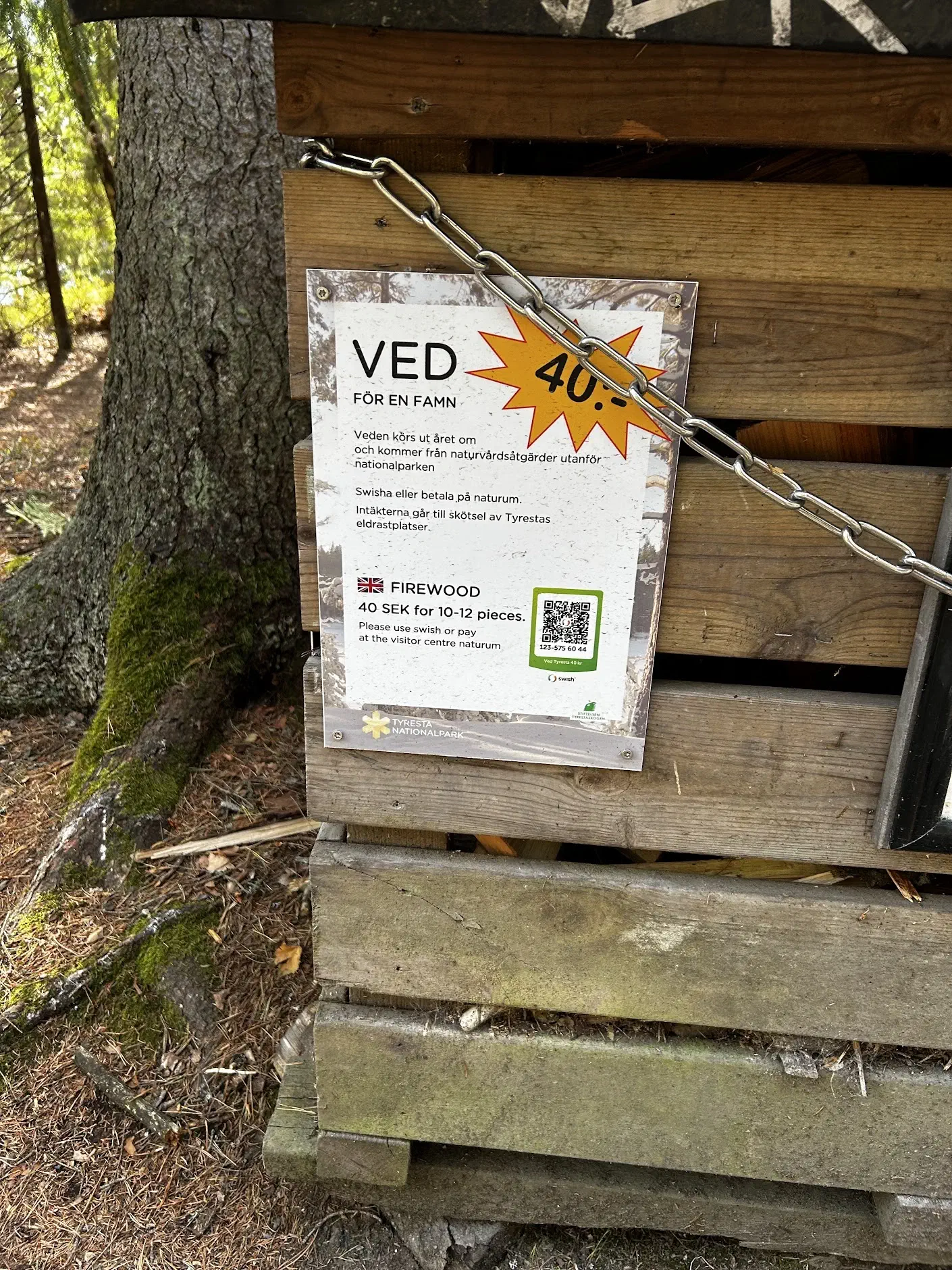 Camping_Trip_in_Sweden-0983b2be.webp