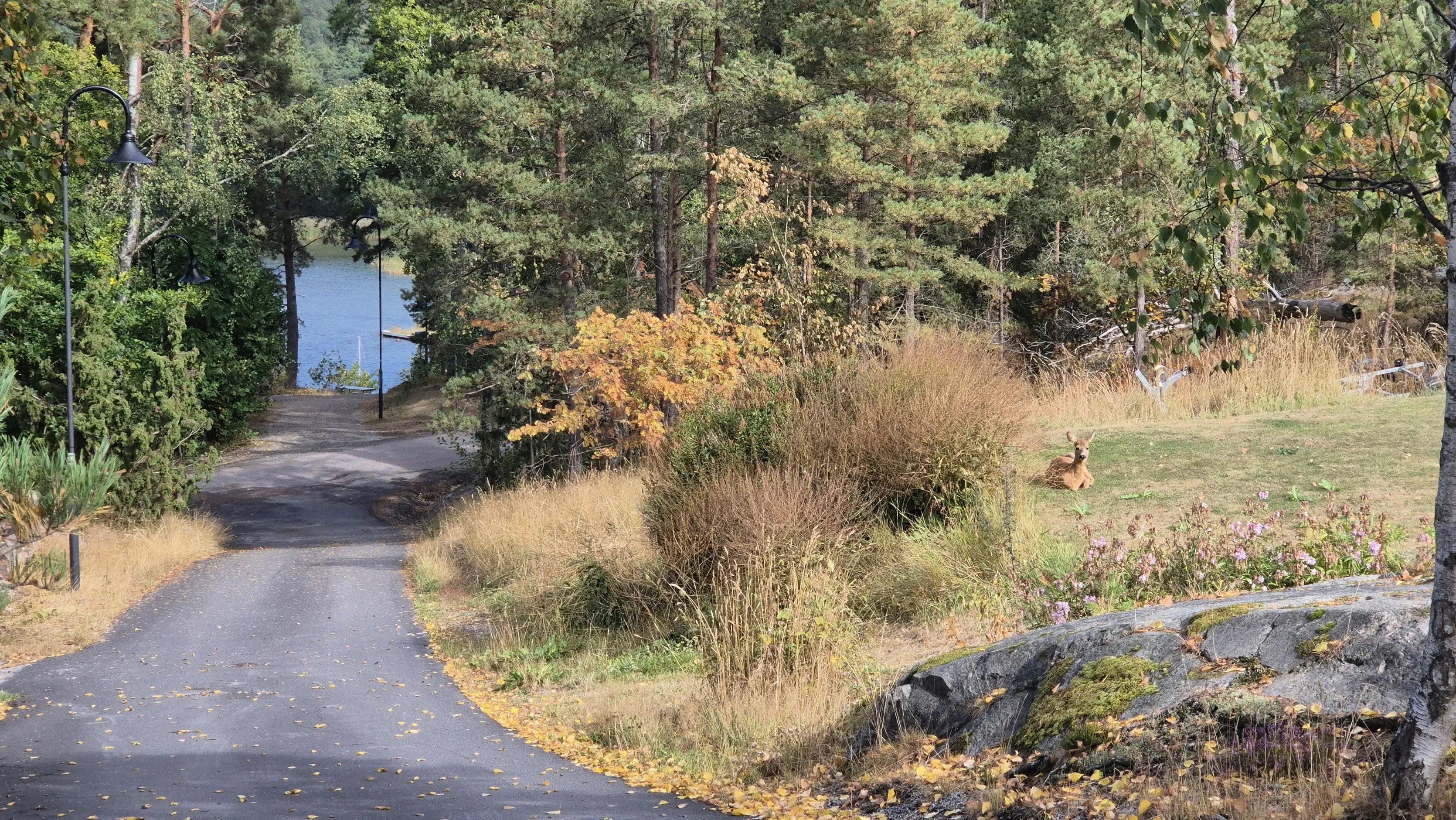 Camping_Trip_in_Sweden-96480857.webp